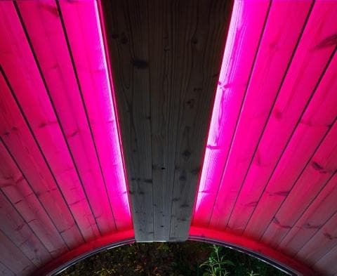 SaunaLife Emood Color Lighting for ERGO Sauna-Sweat Serenity